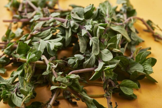 Pile of oregano still on the stem.