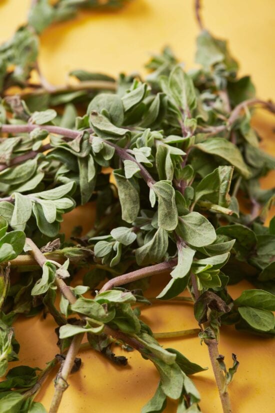 Oregano against an orange surface.