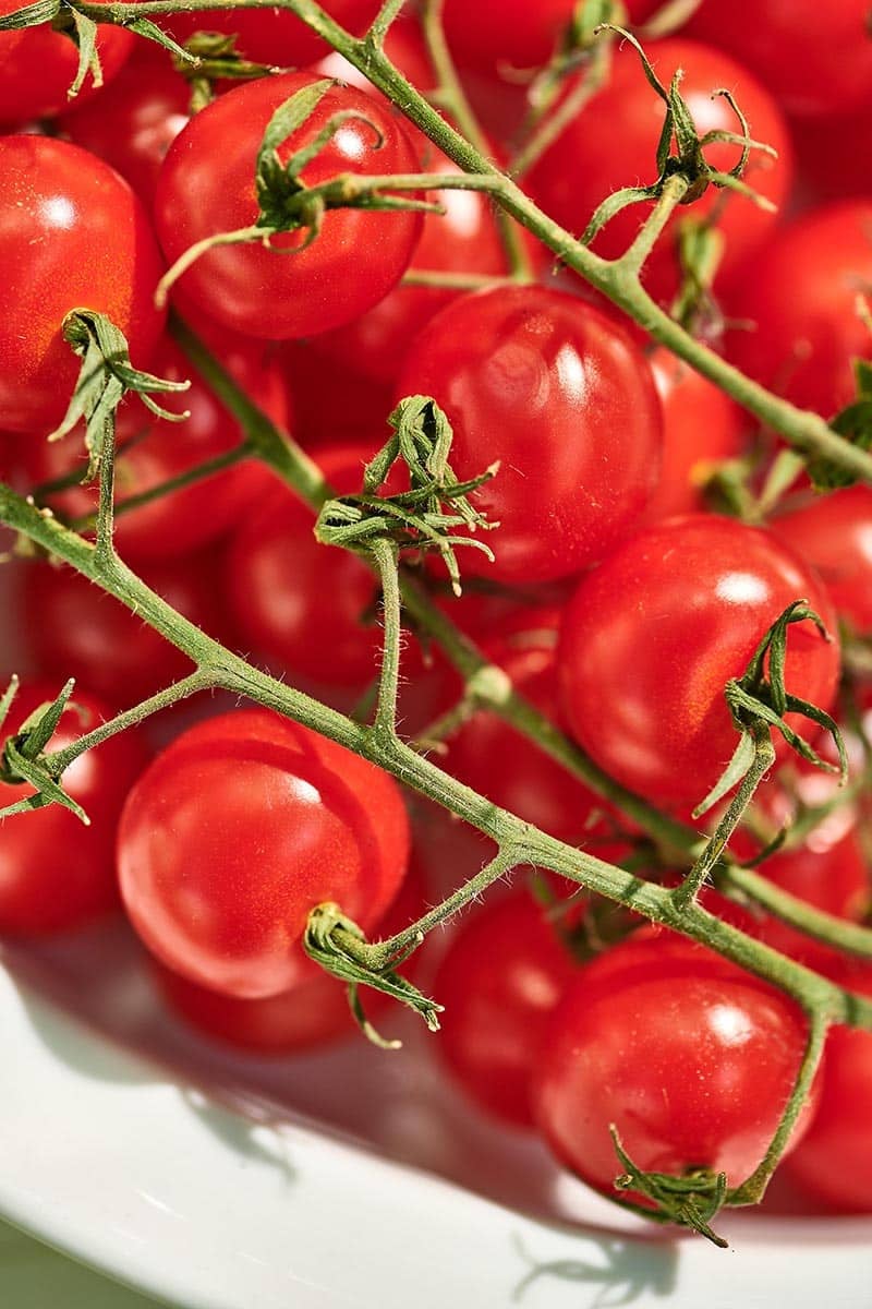 Fresh cherry tomatoes on the vine.