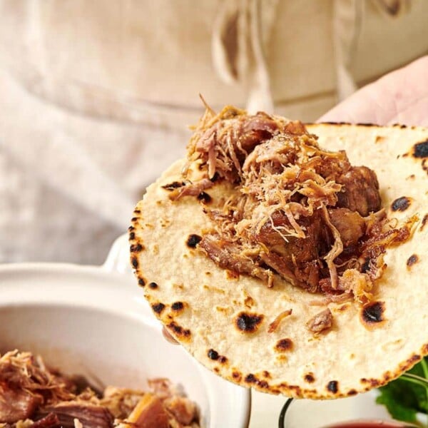 Woman holding tortilla with pork carnitas.