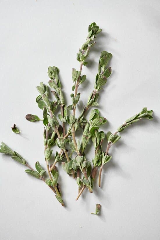 Marjoram leaves on a white table.
