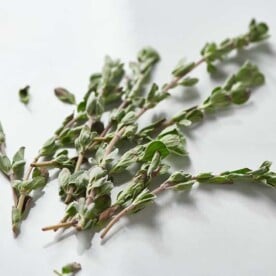 Marjoram leaves still on the stem.