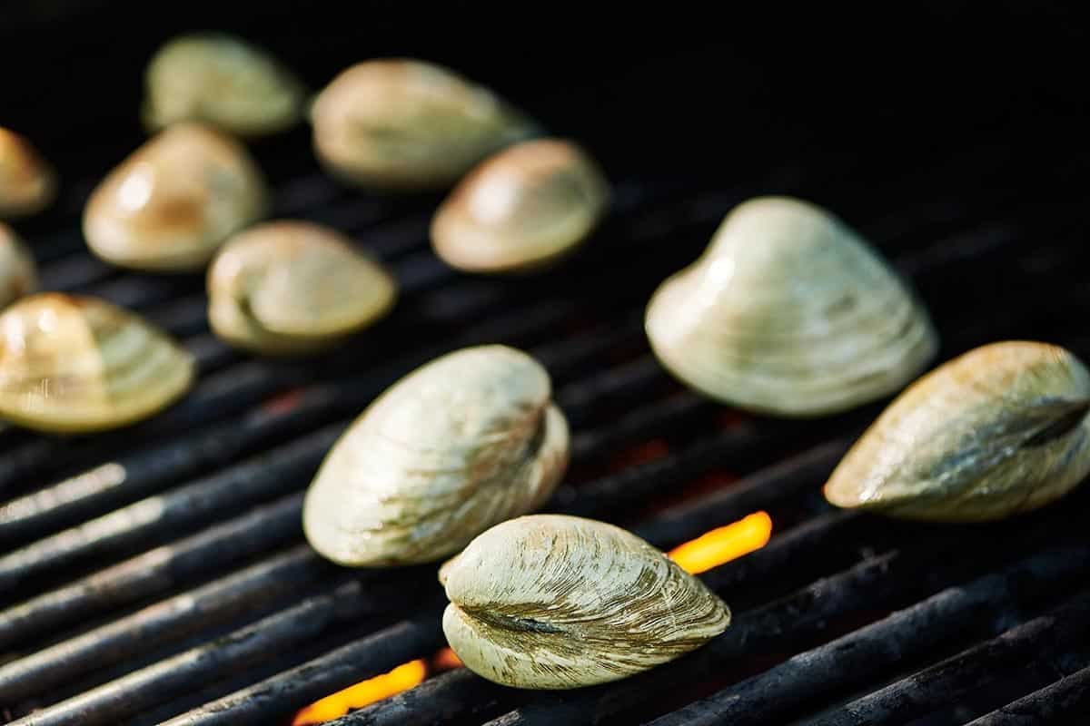 Clams sitting on a grill.