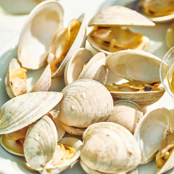 Grilled Clams on a white plate.