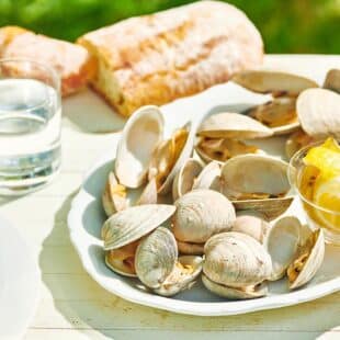 Grilled Clams on a white plate set on an outdoor table.