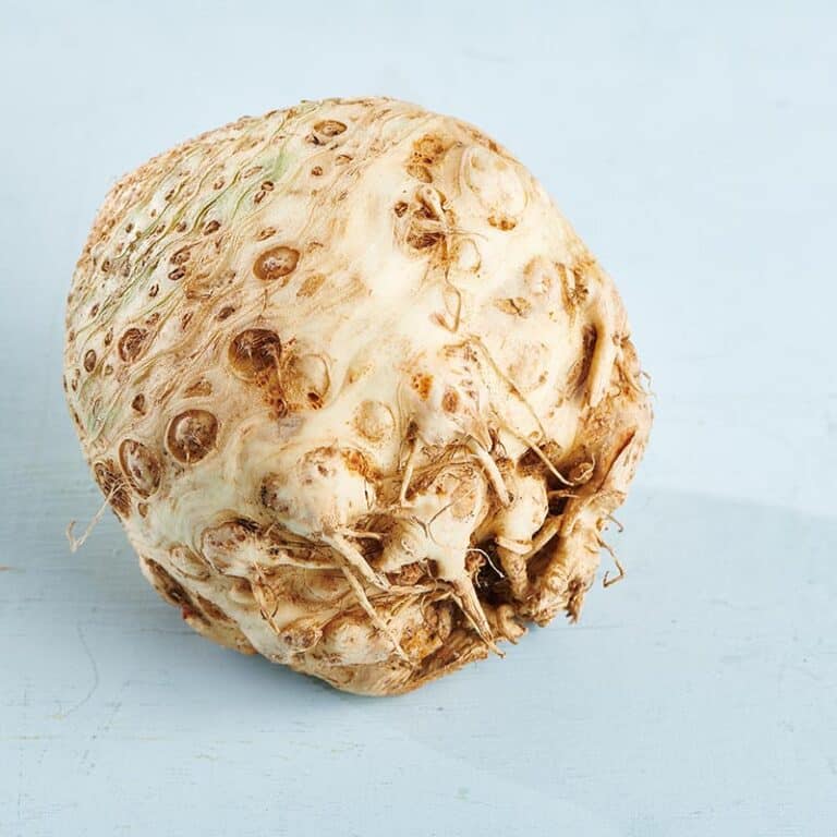 Whole celeriac with the skin still on sitting on a light table.
