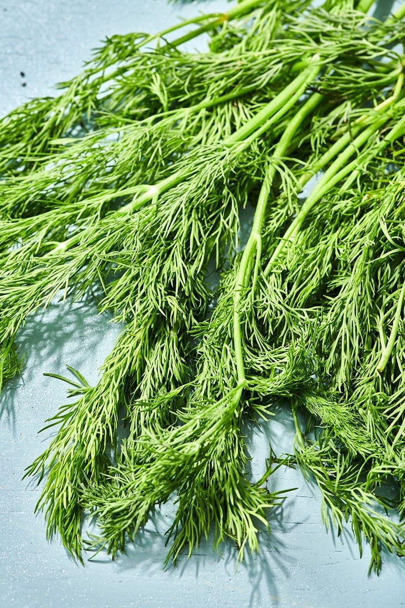 Fresh dill on cutting board.