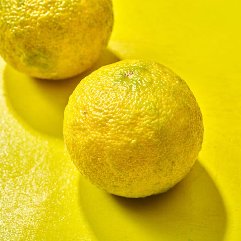Two yuzu fruit on yellow background