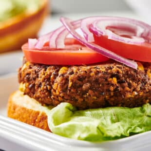 Black bean burger topped with tomato, lettuce, and onion on white plate.
