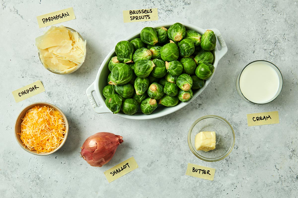 Brussels sprouts, cheese, and cream on marble table.
