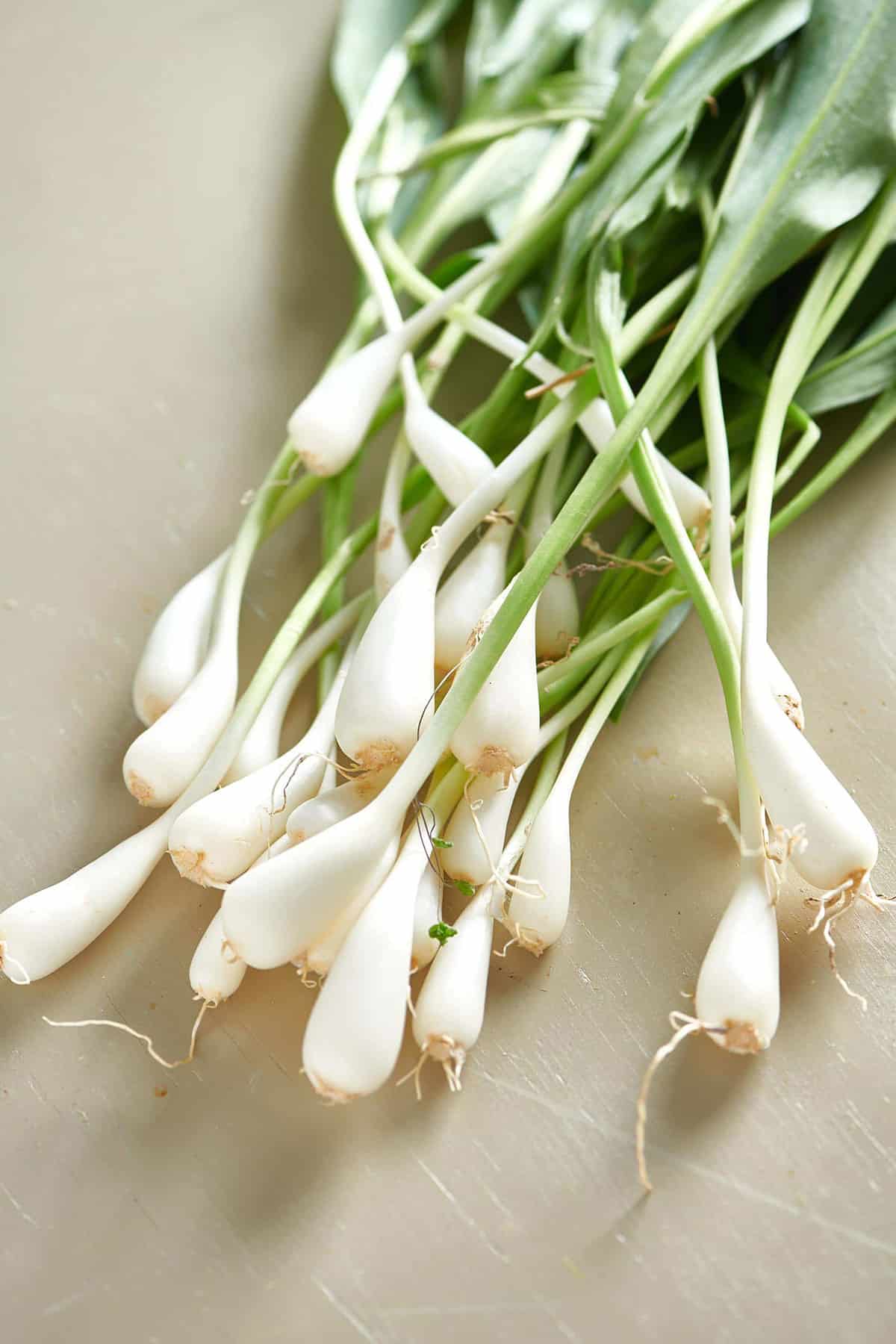 Fresh ramps on table.
