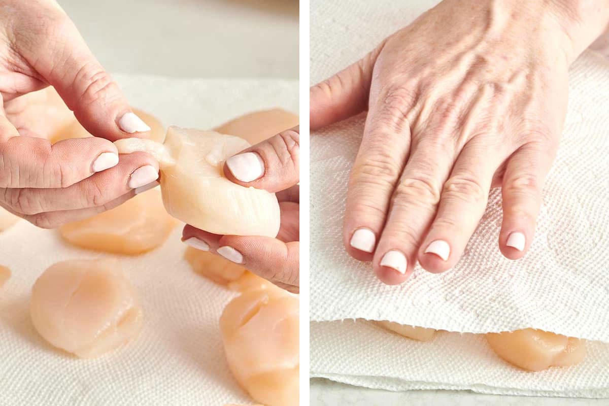 Woman removing tendon from sea scallops and pressing scallops dry with paper towels.